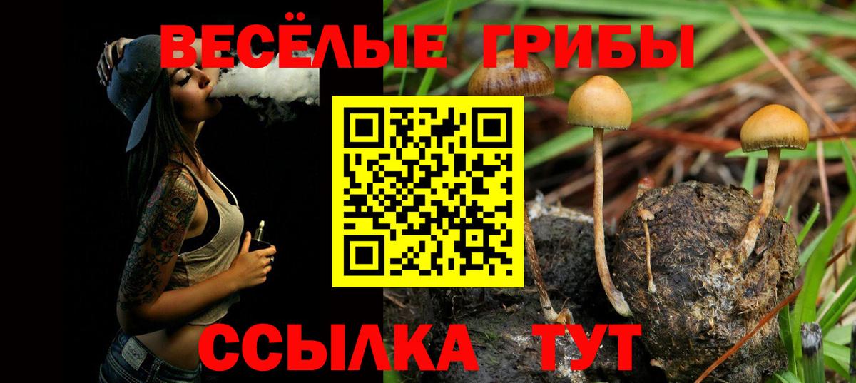 Галлюциногенные грибы ЛСД  Вход с VPN  Киржач 